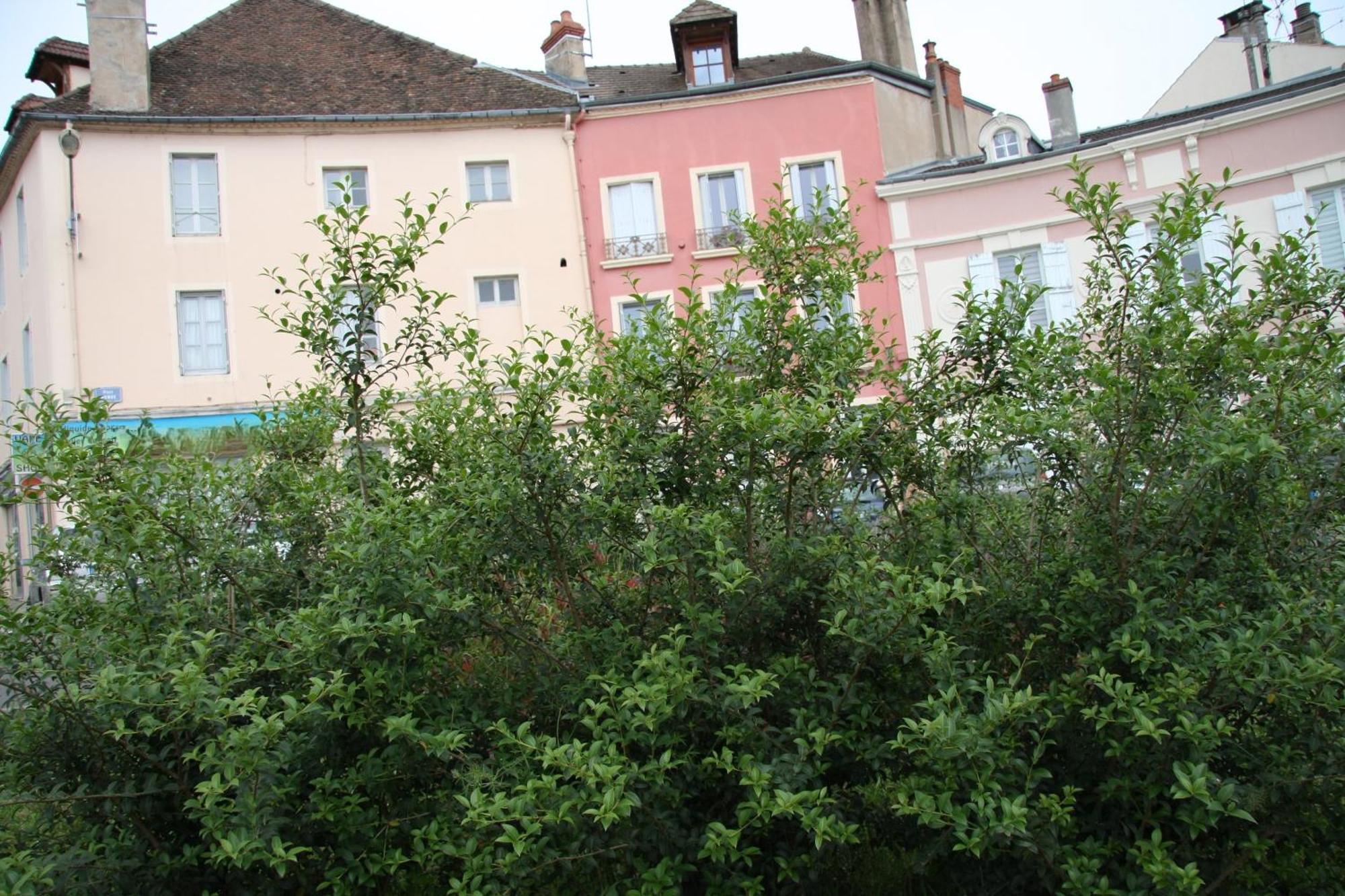 Appartement Haut De Gamme Centre Ville 索恩河畔沙隆 外观 照片